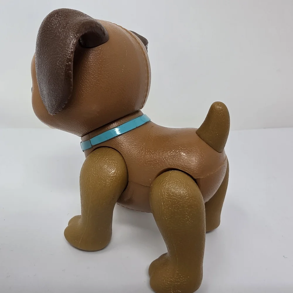 N/A dog has